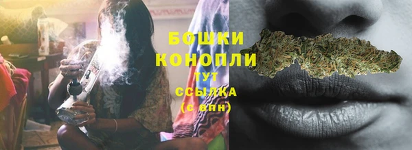 крисы Верея