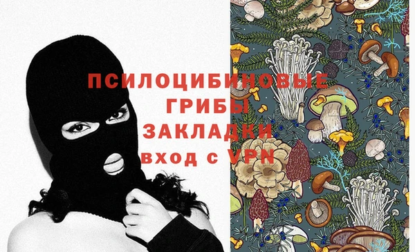 гашиш Богданович