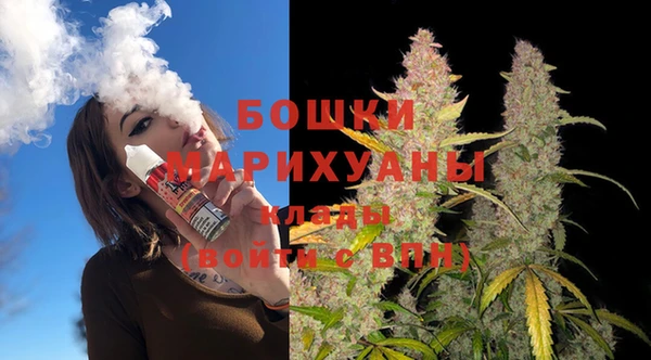 крисы Верея