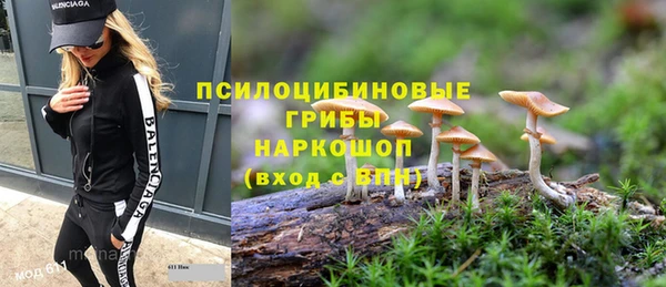 СК Верхний Тагил