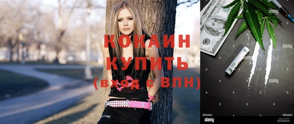 гашик Богородск