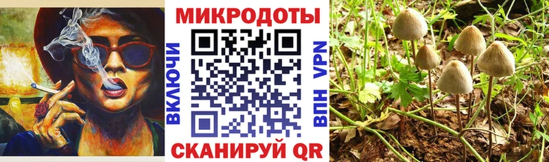 наркошоп  Вытегра  Псилоцибиновые грибы GOLDEN TEACHER 